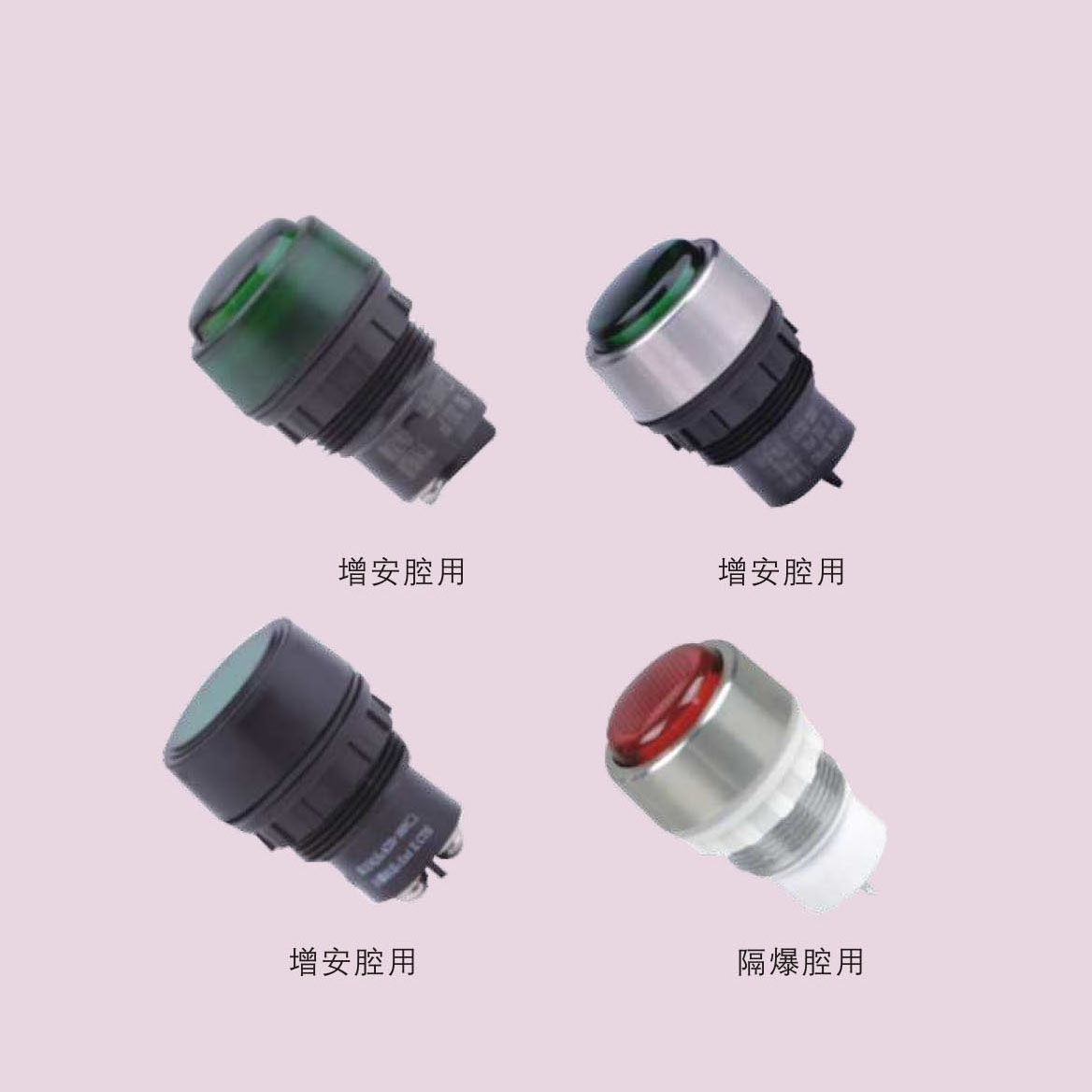 BD系列防爆（防腐）指示燈